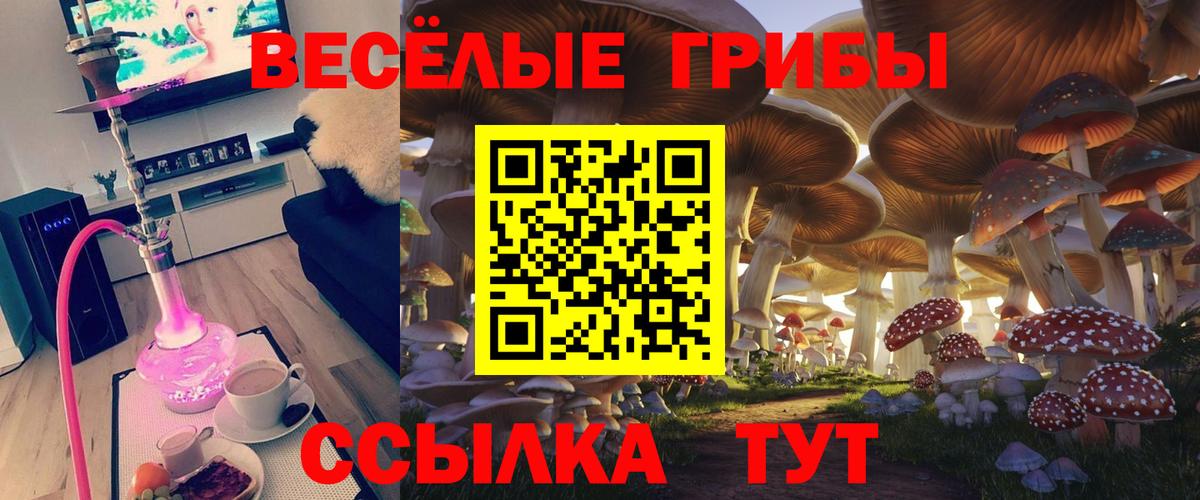 Псилоцибиновые грибы Psilocybine cubensis  Псилоцибиновые грибы Cubensis  Вход с VPN  Гусев 